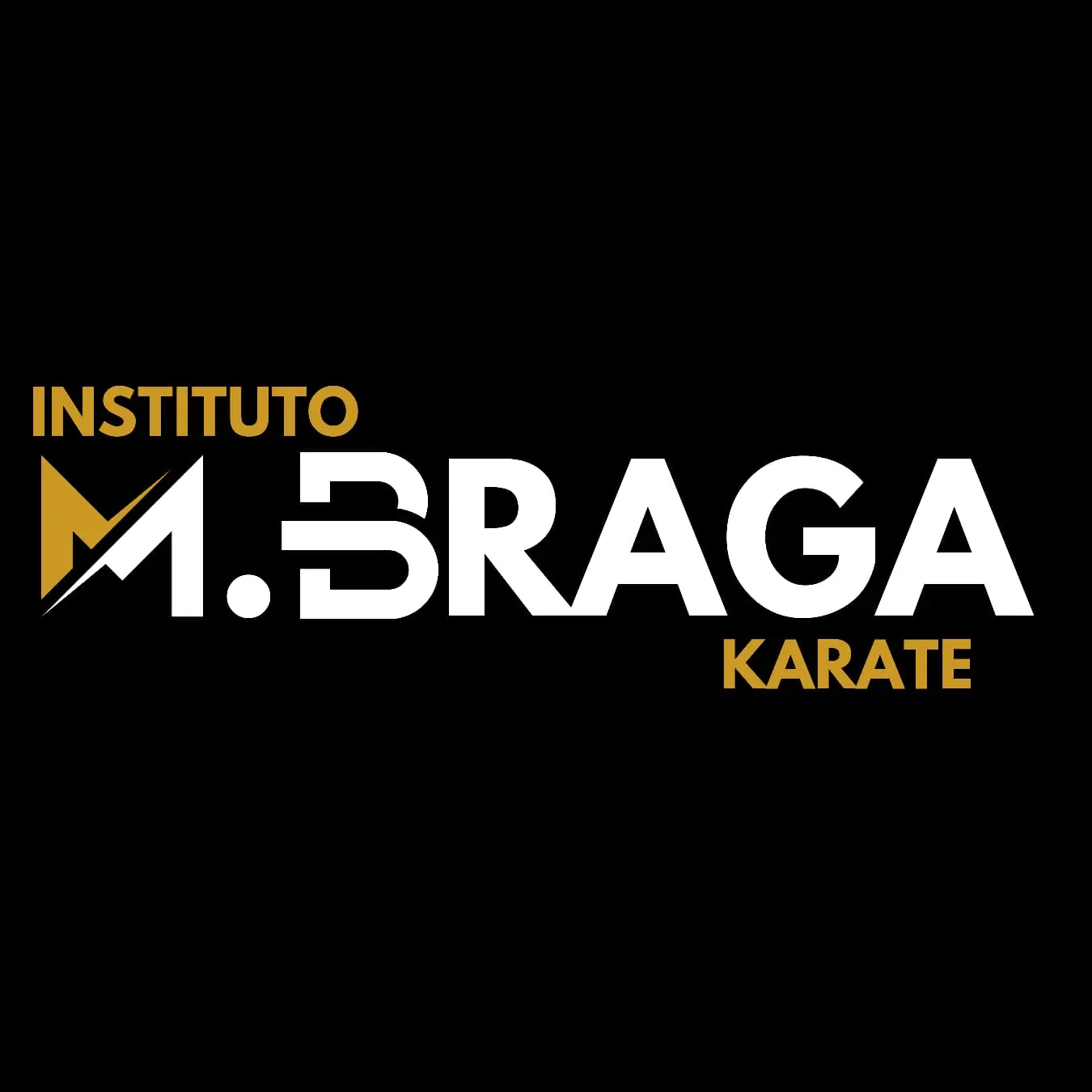Instituto M. Braga